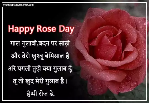 rose day shayari pic download
