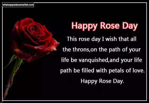 rose day images i love you