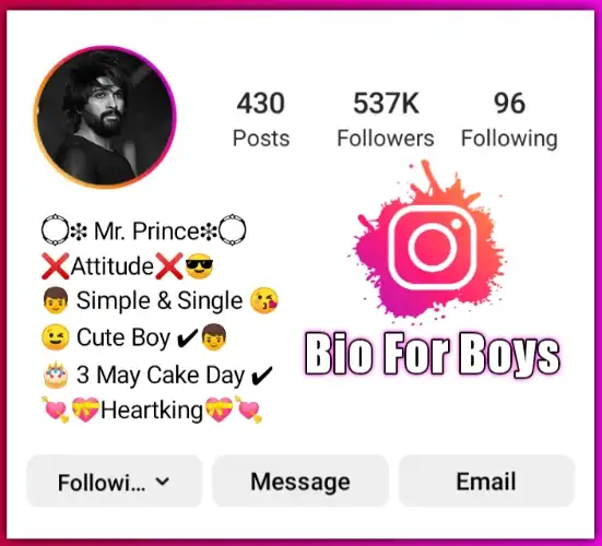 bio for instagram attitude