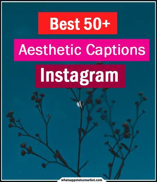 best captions for aesthetic pictures