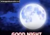 Best 150+ Good Night Ki Shayari in Hindi | GN Shayari Good night shayari image