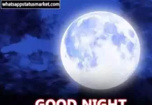 Best 150+ Good Night Ki Shayari in Hindi | GN Shayari Good night shayari image
