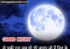 Best 125+ Romantic Good Night SMS For Girlfriend in Hindi romantic Good night shayari image