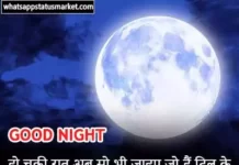 Best 125+ Romantic Good Night SMS For Girlfriend in Hindi romantic Good night shayari image