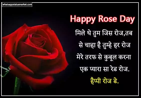 Rose Day shayari image