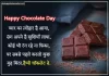 Best 100+ Happy Chocolate Day Ki Shayari in Hindi 2024 chocolate day shayari image