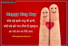 TOP 50+ Hug Day Par Shayari in Hindi | हग डे पर शायरी 2024 hug day shayari image