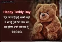Best 75+ Teddy Day Shayari in Hindi | टेडी डे शायरी 2024 teddy day shayari image