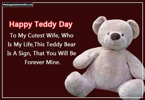 Teddy day images download
