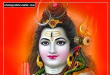 195+ Mahashivratri Status in Hindi | महाशिवरात्रि स्टेटस 2024 Maha Shivratri status image