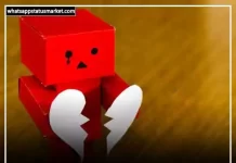 Best 250+ Fake Love Shayari in Hindi | फेक लव शायरी 2025 fake love shayari image