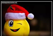 Best 540+ Hasi Shayari in Hindi | हँसी शायरी इन हिंदी 2026 hasi shayari image