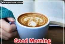 Best 175+ Inspirational Good Morning Quotes in Hindi 2024 good morning images download