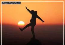 Best 250+ Shaam Shayari in Hindi | शाम शायरी 2024 shaam shayari image