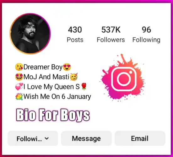 instagram bio for boy attitude