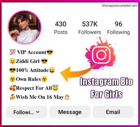 instagram girls bio attitude