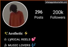 Best 1050+ Aesthetic Bio For instagram (Copy & Paste) Image of Aesthetic Instagram bio