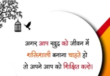 Best 250+ True Lines in Hindi | True Love Lines 2024