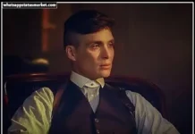 TOP 500+ Instagram Captions For Boys Attitude in Hindi 2024