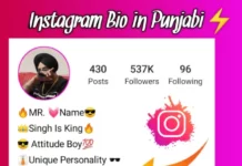 instagram bio in punjabi with image