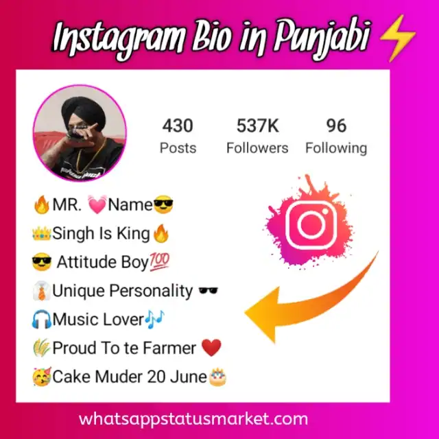instagram bio in punjabi with image