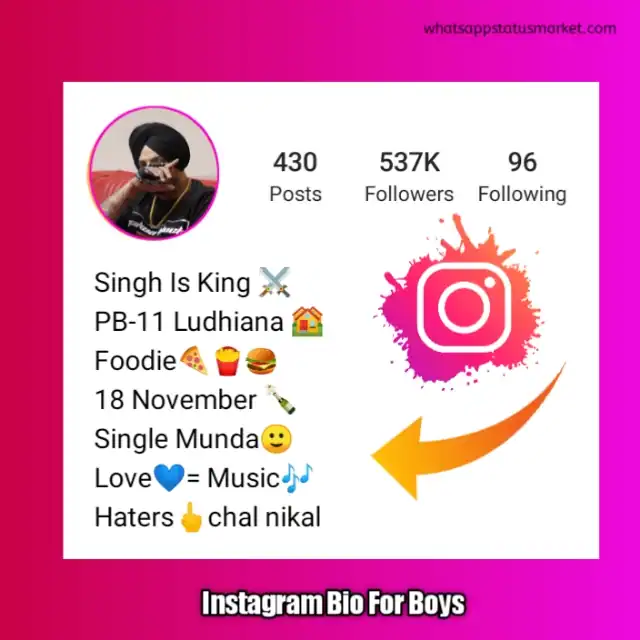 instagram bio in punjabi copy paste 2023