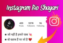 instagram bio shayari image