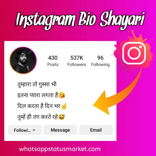 shayari page bio for instagram
