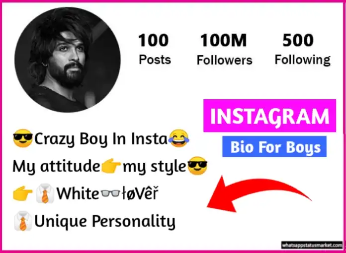 instagram bio quotes for boys