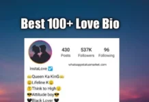 TOP 1000+ Love Bio For Instagram 2024 (Copy & Paste) love bio