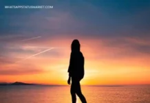 Best 100+ Safalta Ki Shayari in Hindi | सफलता की शायरी 2023