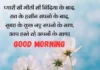 Best 250+ Smile Good Morning Quotes inspirational in Hindi smile good morning quotes inspirational in hindi with image