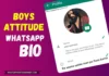 Best 1050+ WhatsApp Bio for Boys Attitude & Stylish 2025