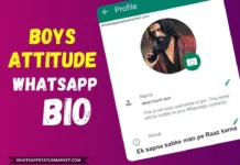 Best 1050+ WhatsApp Bio for Boys Attitude & Stylish 2025