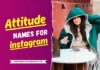 1000+ Stylish Attitude Names for Instagram for Girl 2025