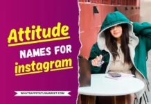 1000+ Stylish Attitude Names for Instagram for Girl 2025