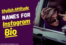 1000+ Stylish Attitude Names For Instagram For Boy Indian